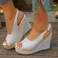 thumbnail image 2 of Pandaie Womens Espadrille Dressy Wedge Sandals Open Toe Platform Slingback Slip on Sandal Comfortable High Heels Pumps Shoes 3.91 Inch Silver 7.5, 2 of 7