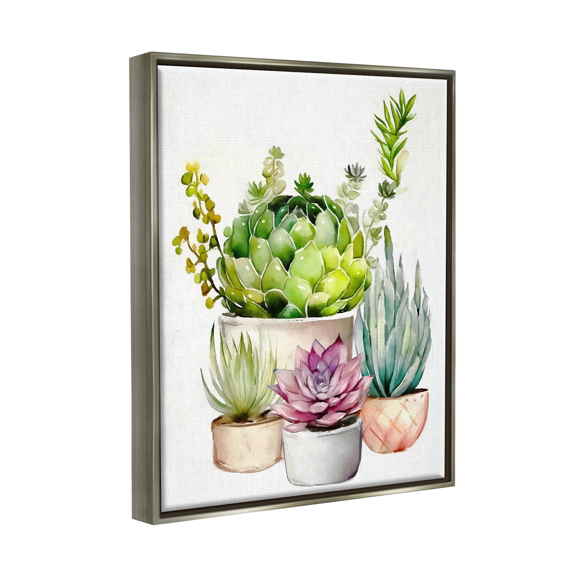 Stupell Industries Varied Succulent Garden Plants Botanical & Floral Painting Gray Floater Framed Art Print Wall Art