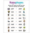 thumbnail image 1 of TEACHER S FRIEND ANCHOR CHART HOMOPHONES 823381, 1 of 1