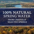 thumbnail image 2 of DEER PARK 100% Natural Spring Water 24-700mL Bottles, 2 of 2