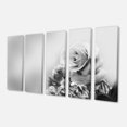 thumbnail image 2 of Rose Noire et Blanche au Printemps. - Impression sur Toile Florale, 2 of 3