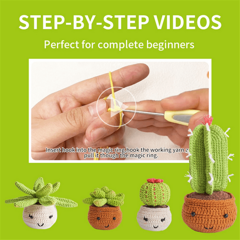 Baiyou crochet kit for beginners - 4pcs succulents, beginner crochet  starter kit for complete beginners adults, crocheting