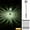 WH, variant on EGNMCR Outdoor Lights Garden Light Solar Lights Outdoor, Stainless Steel LED Lighting Solar Powered Outdoor Lights Solar Garden Lights For Walkway, Patio, Yard - 12 Pack Lantern Light