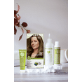 thumbnail image 3 of Naturtint 6GA Deep Almond Brown Permanent Hair Color, 1 Pack (Packaging May Vary), 3 of 7