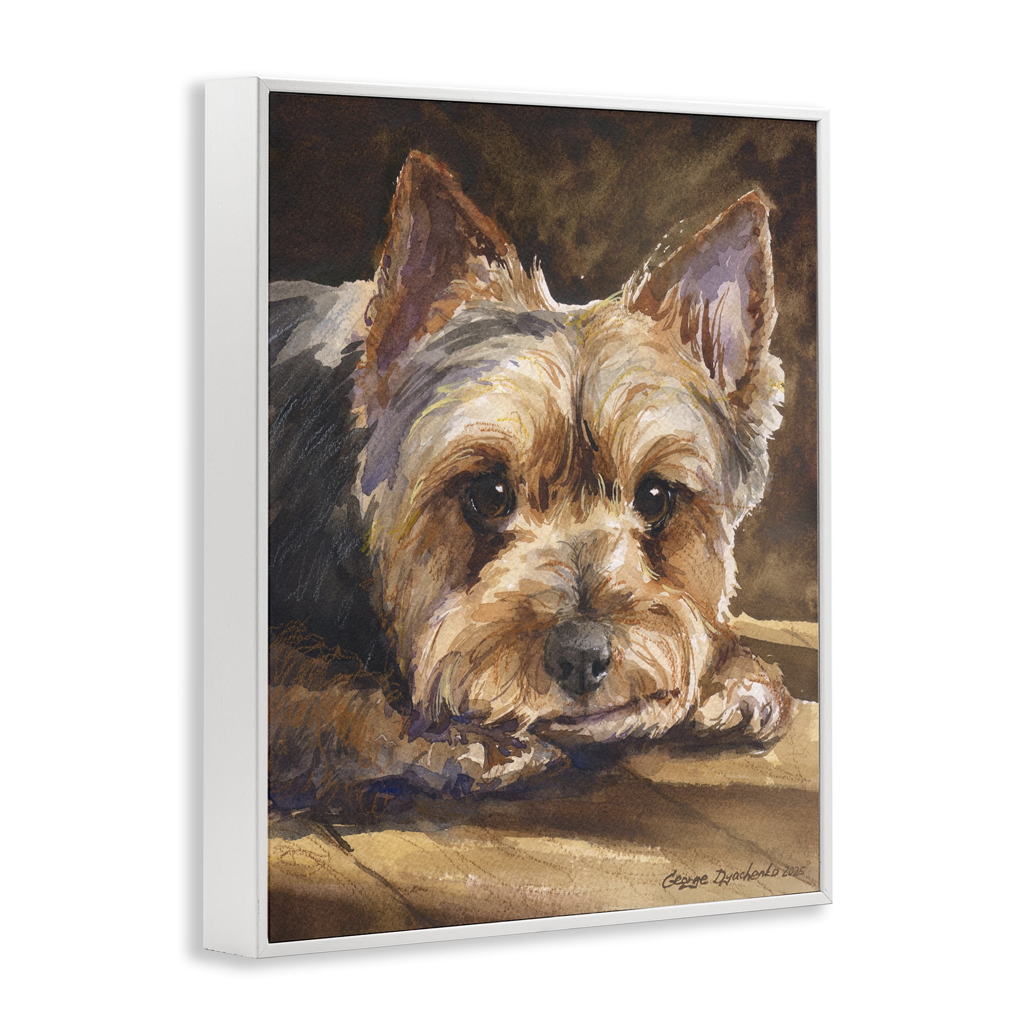 Stupell Industries Yorkshire Terrier Portrait White Framed Giclee Art, design by George Dyachenko