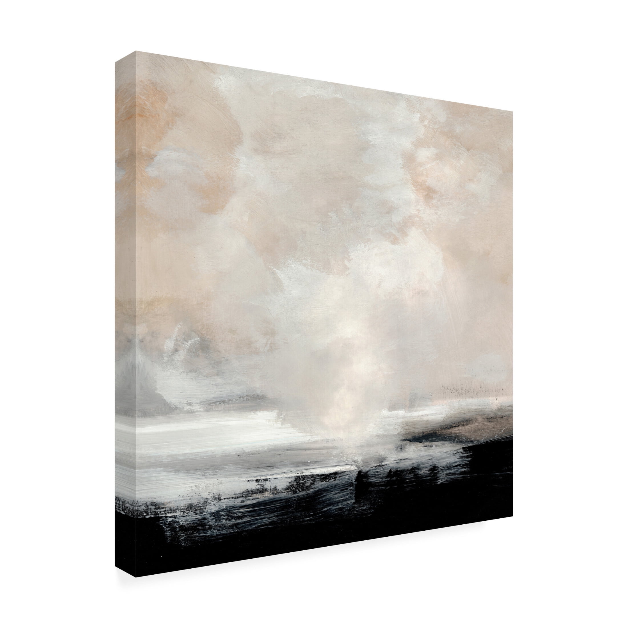 Trademark Fine Art Dan Hobday  Clouds Canvas Wall Art