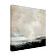 thumbnail image 4 of Trademark Fine Art Dan Hobday  Clouds Canvas Wall Art, 4 of 4