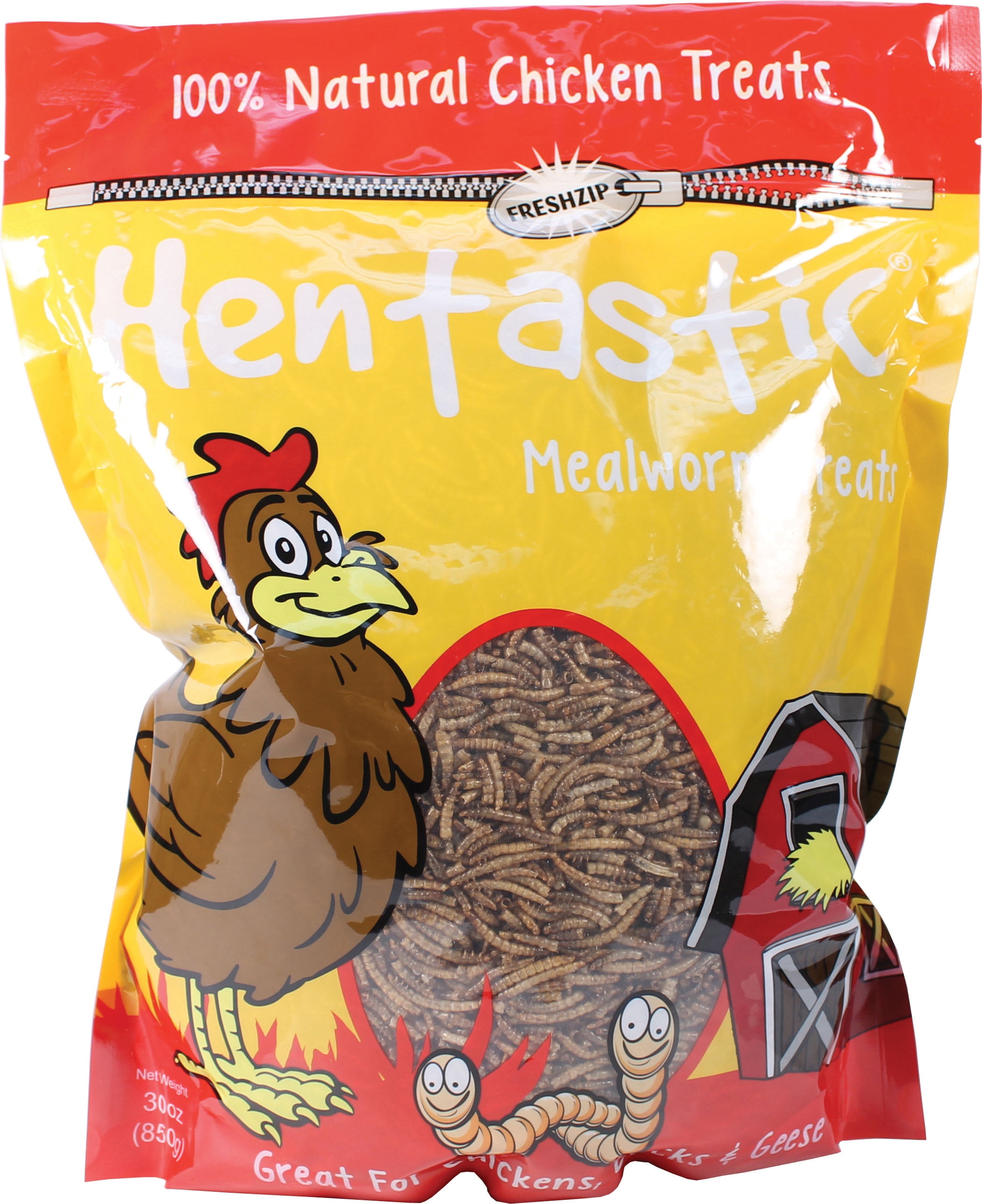 download mealworms for chickens download mealworms for chickens