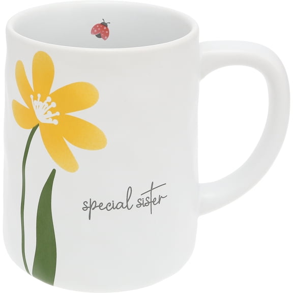 Pavilion Gift Company - Special Sister - 17 oz Mug