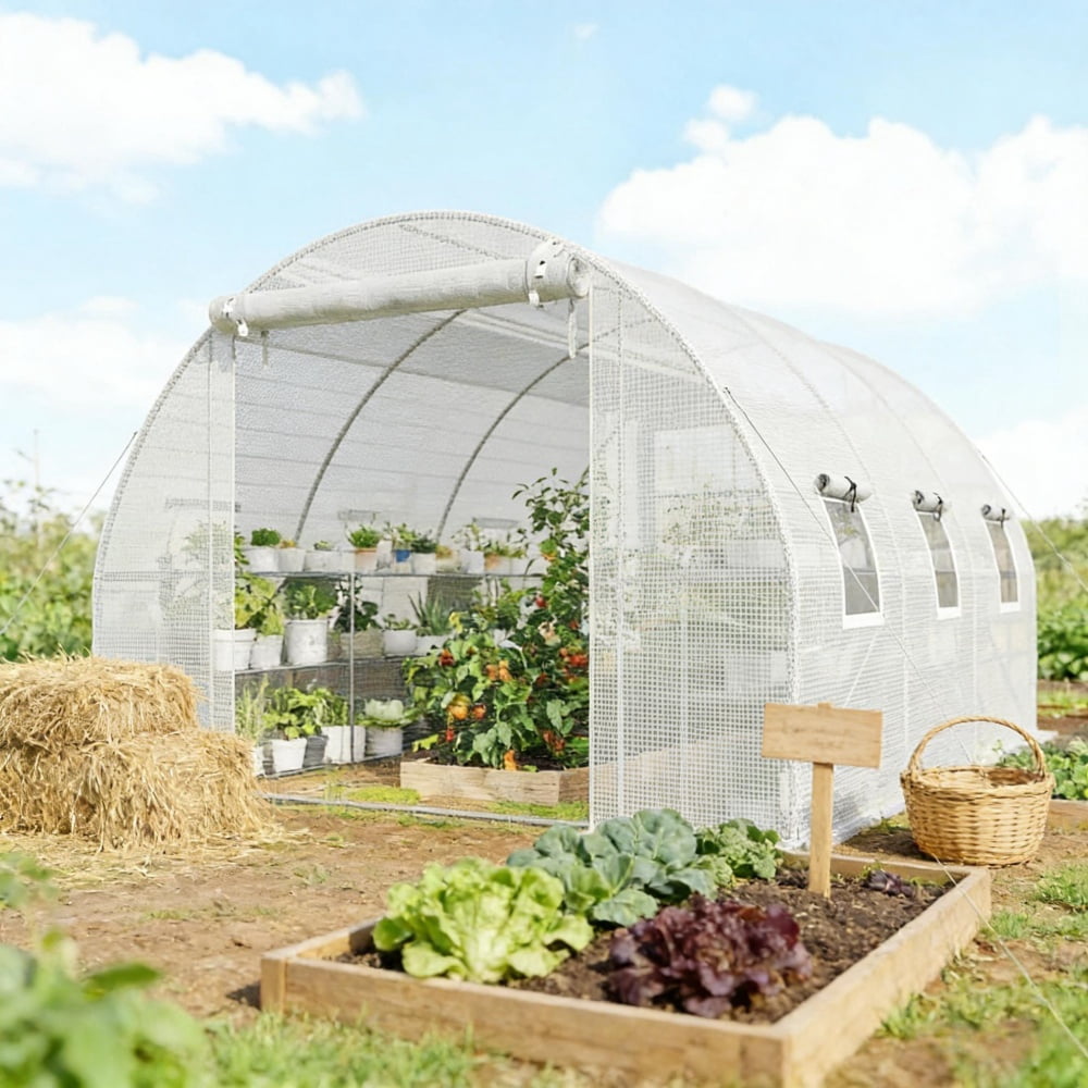 Greenhouse