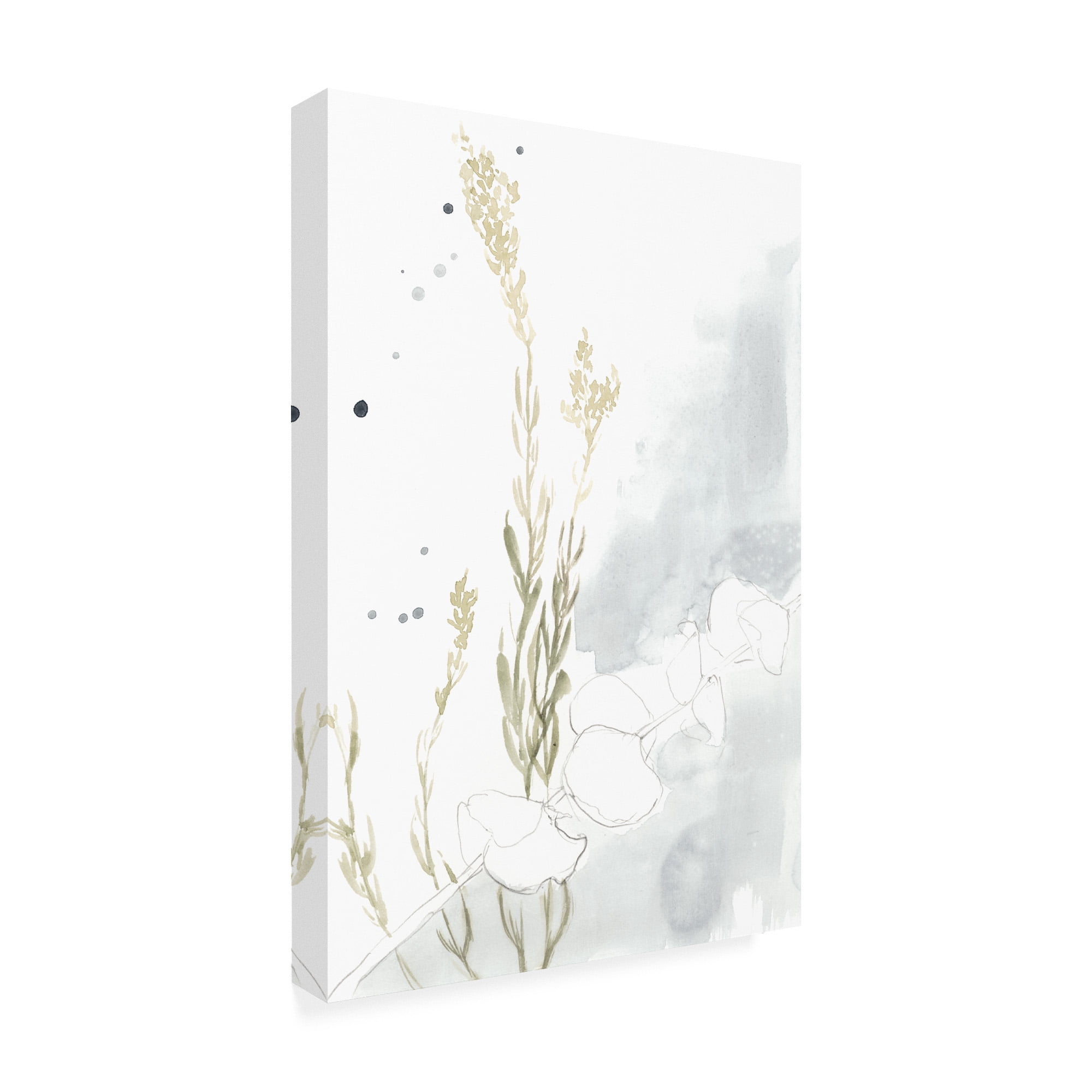 Trademark Fine Art 'Wildflower Triptych II' Canvas Art by Jennifer Goldberger