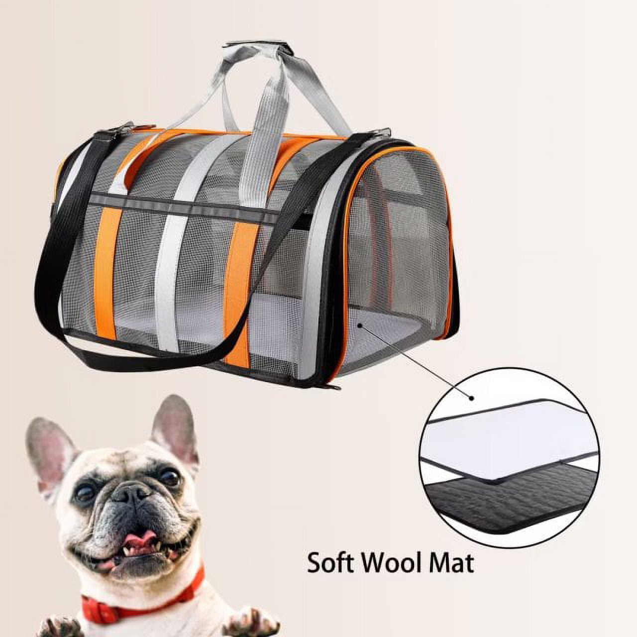 Cat carrier outlet lazada