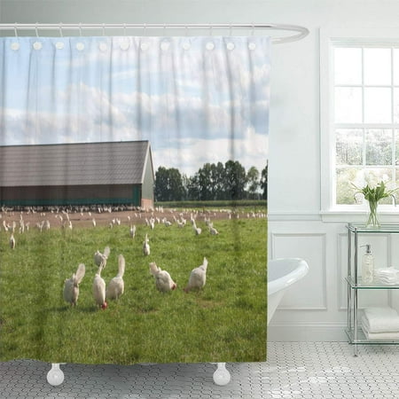 Suttom Organic White Farm Biological En In Agriculture Landscape Green Shower Curtain 66x72 Inch Canada Shower Curtain 66x72 Inch