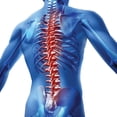 thumbnail image 3 of Posture Smart Support Belt, 3 of 6