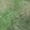 Green, variant on Addison Rugs Chantille Indoor/Outdoor Transitional Abstract Copper Machine Washable Rectangle Rug, 10' x 14'