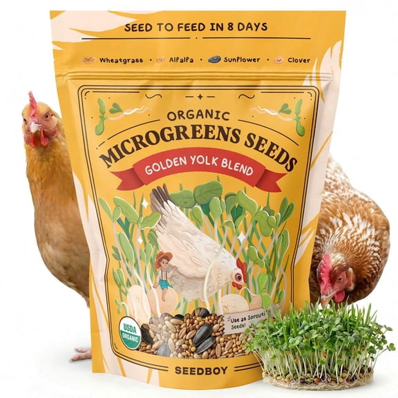 Seedboy Organic Non-GMO Microgreens Seeds for Chickens, Golden Yolk Blend - USA Grown Sprouting Mix with Alfalfa, Clover, Sunflower, Wheatgrass - 8 oz Bag