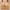 Beige, variant on Samickarr Wireless Minimizer Bras for Women Full Coverage Gathered Up Lingerie Wirefree Comfort Breathable Minimizer Bralettes Adjustable Shoulder Strap Daily Bras