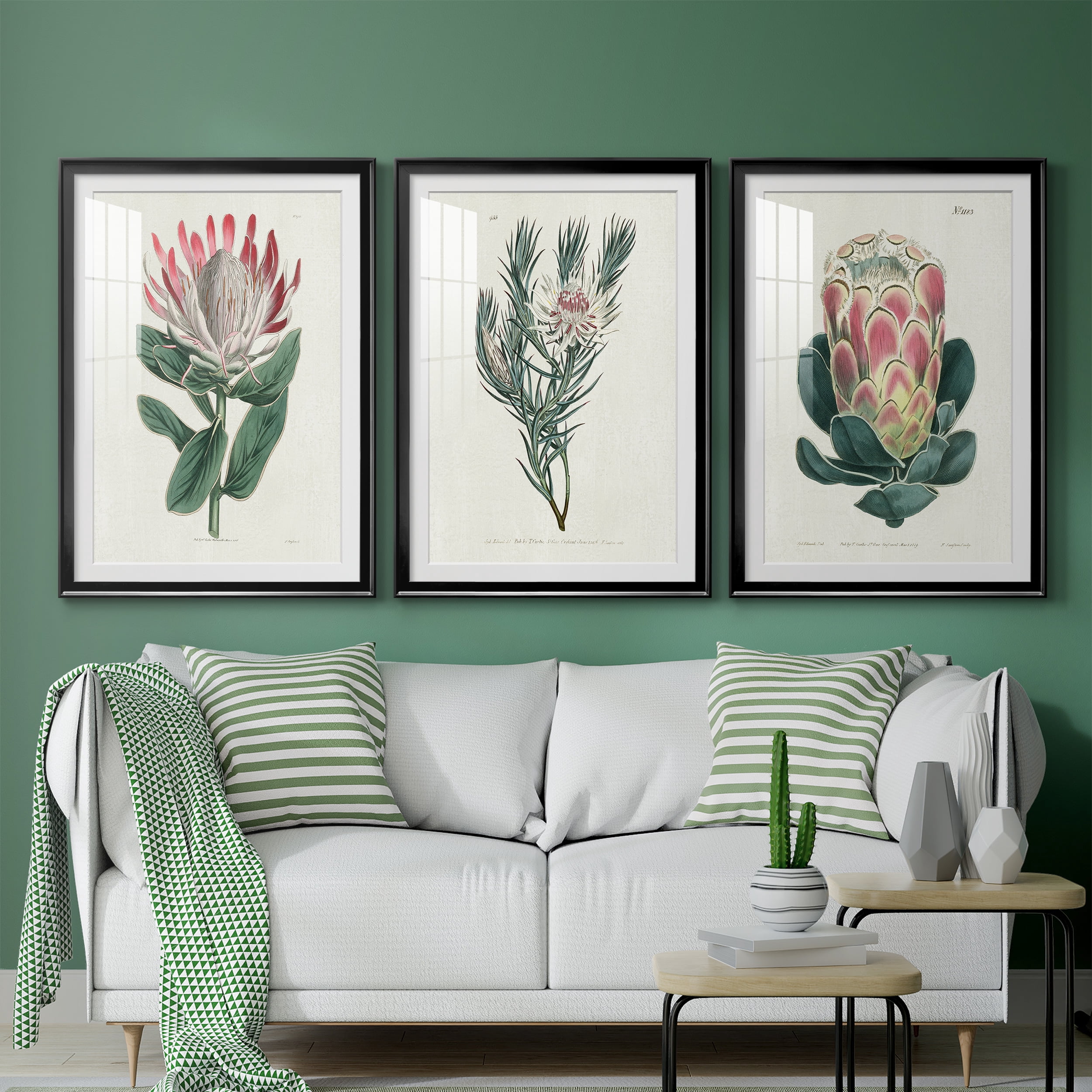 Protea N13 Premium Framed Prints Set of 3 - Ready to Hang - 26.5 x 36.5 Each - Black Frame