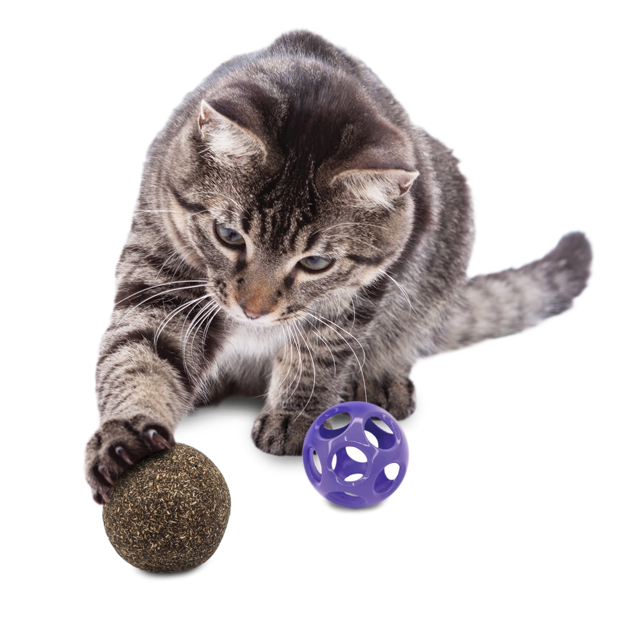 KONG® 2-in-1 Blissy Moon Ball Cat Toy with Premium North American Catnip