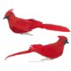 thumbnail image 1 of Adorno con forma de pájaros rojos artificiales, clips encantadores en espuma para decoración del árbol de Navidad, 4 piezas, rojo-- Sailing Electrónica, 1 of 3