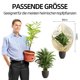 thumbnail image 1 of Ounissouiy 2 unids/set cubierta protectora de plantas de invierno transpirable para una protección efectiva cubierta protección contra heladas Jardín y Patio, 1 of 6