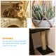 thumbnail image 2 of unbranded Cuerda Multifunción De Para Protección Y Rascado En Muebles Y Árbol De, 2 of 8