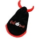 thumbnail image 5 of Capa para perro, disfraz para mascota, sombrero de Halloween, accesorios de cosplay para gatos y perros pequeños L, 5 of 9