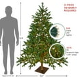 thumbnail image 6 of Northlight Real Touch™️Pre-Lit Full Northern Pine Artificial Christmas Tree - 6.5' - Clear LED, 6 of 8