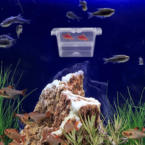 WRITWAA Transparent Aquarium Fish Breeding Box with Divider Suction Cup for Fish Fry Protection