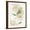 Brown Frame, variant on Art.com Freshly Picked II Art Print by Isabelle Z, 12" x 16"