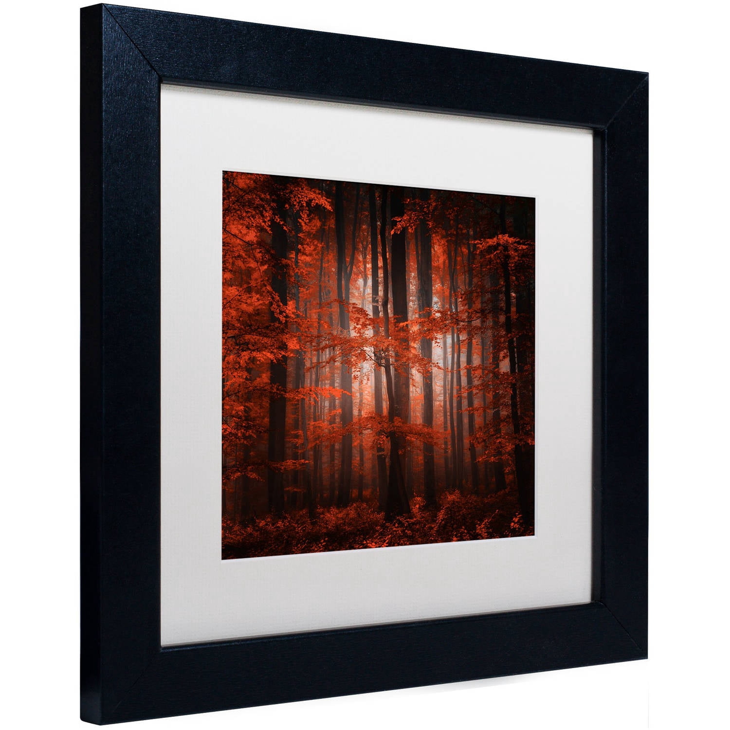 Trademark Fine Art "Red Parallel Universe" Canvas Art by Philippe Sainte-Laudy White Matte, Black Frame