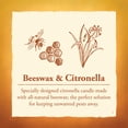 thumbnail image 2 of Vela de cera de abeja con citronela de 80 horas Candle by the Hour, 2 of 8