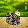 thumbnail image 2 of Anckoeil Portable Travel Products Multifunctional Fashion Fan Cap, Foldable And Sun-Shading for Travel, 2 of 3