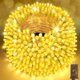 thumbnail image 1 of Cadena de luces navideñas SAUIRS 123 m 1000 LED de color blanco cálido, 1 of 9