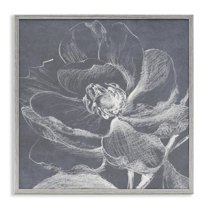 Stupell Industries Magnolia Sketch Impression Plants & Flowers Drawing Gray Framed Art Print Wall Art, 12 x 12