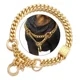 thumbnail image 1 of Collar De Martingala Dorado Para Perro, Cadena De Metal Con, 1 of 8