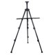 thumbnail image 1 of Trípode Plegable te Sketching Y Dibujo Easel de Exhibición pa Estudiantes Herramienta de Pintura pa Baoblaze Artist Tripod Painting Easel, 1 of 8