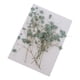 thumbnail image 1 of Conjunto de flores de aliento de bebé naturales y secas, surtidas y coloridas para manualidades de vidrio. Verde, 1 of 9