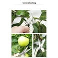 thumbnail image 6 of ZHXXCUM Stainless Steel Scissors Flower Cutting Flower Arrangement Grafting Tree Branch Fruit Pruning A5w3 Household Cutting Garden, 6 of 9
