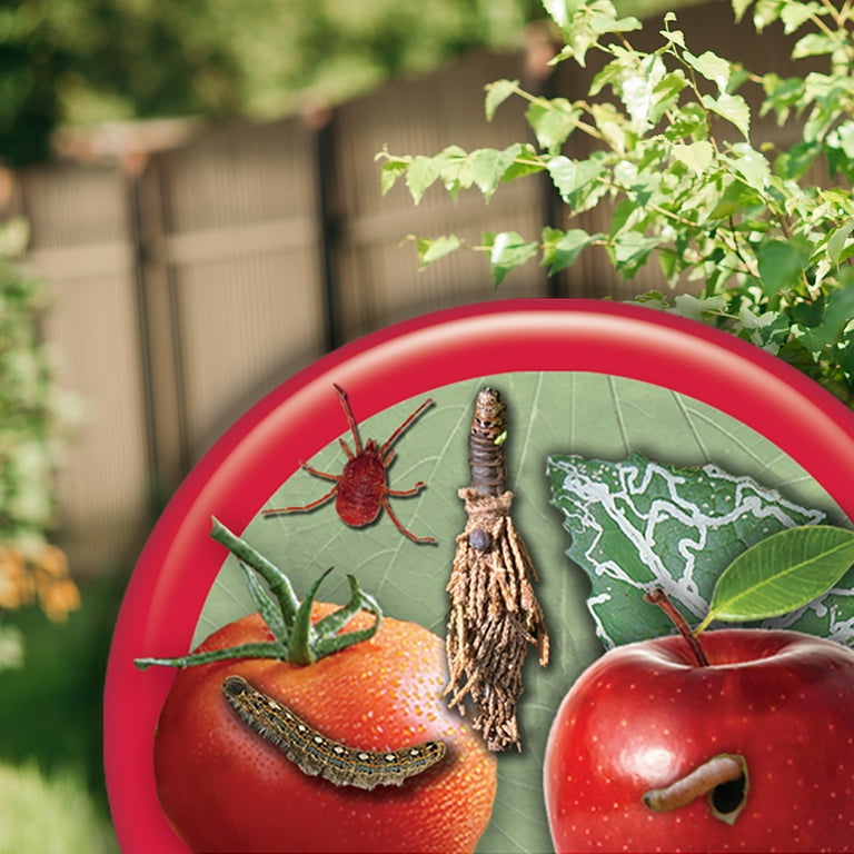 Bonide Captain Jack's Deadbug Brew Garden Dust 1lb., Insect Killer