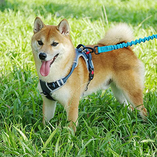 ThinkPet No Pull Harness Breathable Sport Harness with Handle-Dog Harnesses Reflective Adjustable for Medium Large Dogs,Back/Front Clip for Easy Control M Black