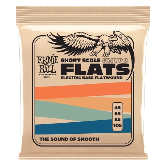 Ernie Ball Stainless Steel Flatwound Short Scale Electric Bass Strings 45-105