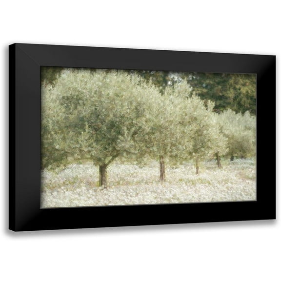 Van de Goor, Lars 14x11 Black Modern Framed Museum Art Print Titled - Paintograph Olive Trees