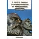 thumbnail image 1 of EL PAPEL DEL TRABAJO EN LA TRANSFORMACIÓN DEL MONO EN HOMBRE Fontamara 9786078252367, 1 of 2