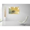 thumbnail image 5 of Epic Art 'Floral Spirit II' by Tim O'Toole, Acrylic Glass Wall Art, 36"x24", 5 of 5