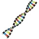 thumbnail image 1 of Kids Toys,childrens Toys Kids Dna Model Kit, Double Helix Model Dna Display Component For Science Teaching Display Watson Crick Model Educational Toys, 1 of 5