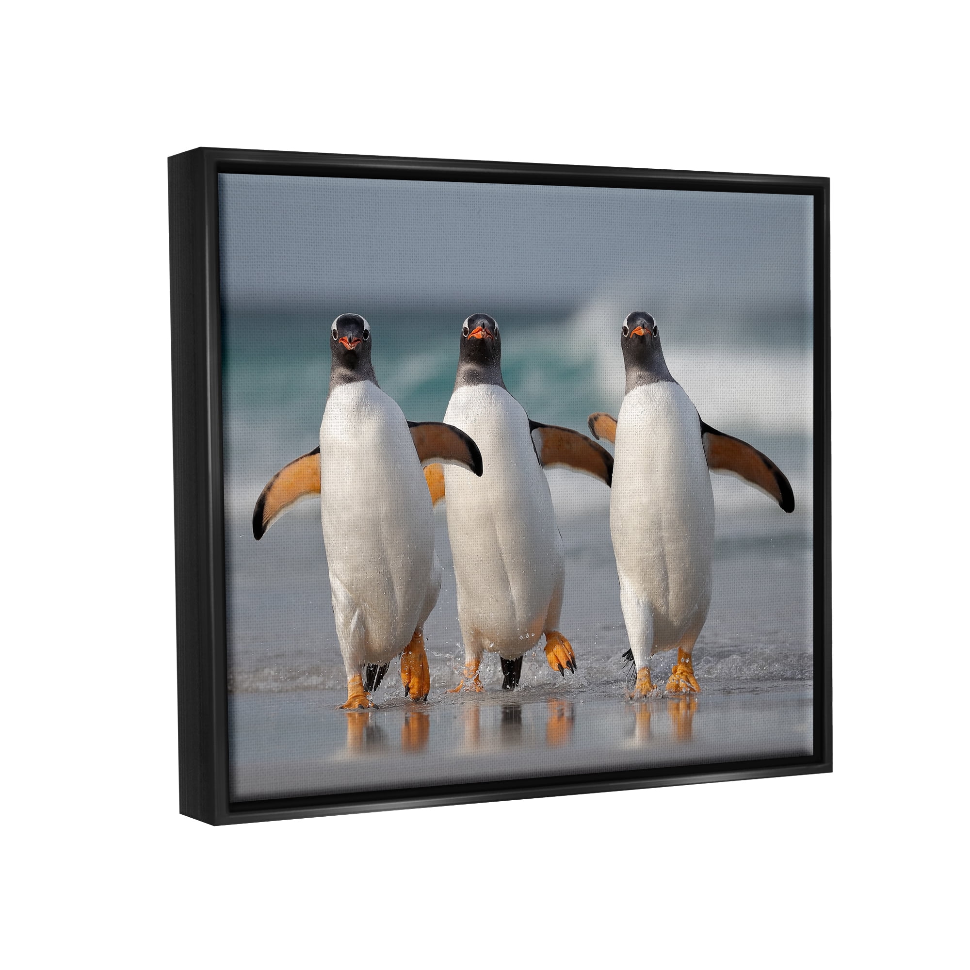 Stupell Industries Penguin Trio on Beach Animals & Insects Photography Black Floater Framed Canvas Art Print Wall Art, 21 x 17