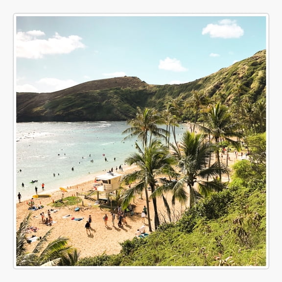 Hawaii Ocean Views Palm Trees Sticker