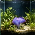thumbnail image 6 of AuroraX Glow in the Dark Aquarium Decor Luminous Sea Anemone Fresh & Saltwater Silicone Material Natural Shape Night Glow for Betta Tank Red, 6 of 6