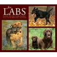 thumbnail image 5 of Just Labs 2026 Box Calendar, (Paperback), 5 of 5